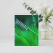 Groen Briefkaart (Staand voorkant)