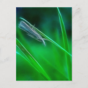 Groen Briefkaart