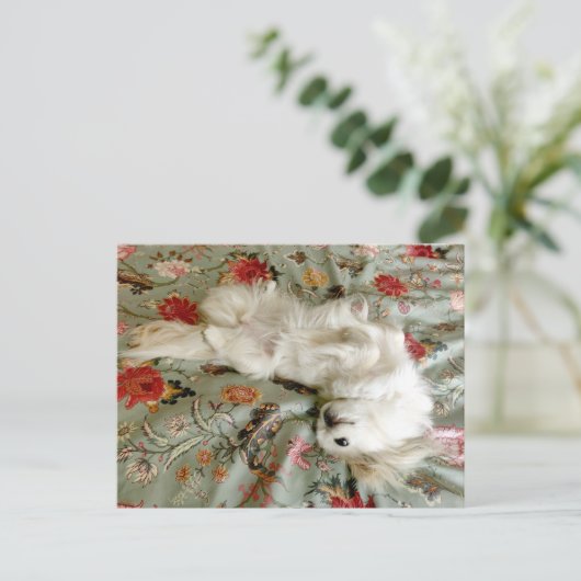 Groen Briefkaart (Staand voorkant)