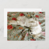 Groen Briefkaart (Voorkant / Achterkant)