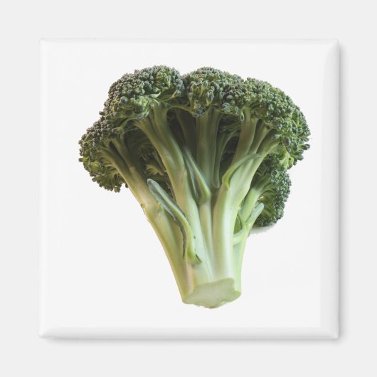 Groen broccoli, vers plantgoed magneet (Voorkant)
