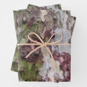 Groen bruin grijs camouflage houten schors inpakpapier vel (In situ)