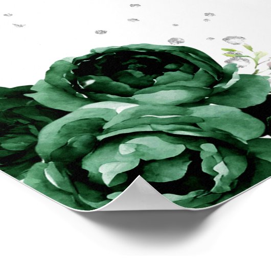 Groen Bruin Haar Prinses Verjaardag Welkom Poster (Hoek)