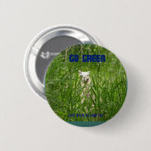 Groen, Button (Voorkant /achterkant)
