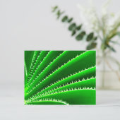 groen cactuuspatroon briefkaart (Staand voorkant)