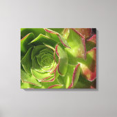 Groen Canvas Afdruk (Voorkant)