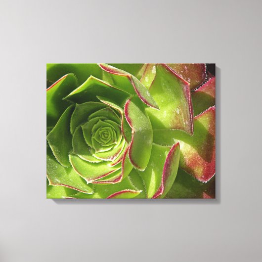 Groen Canvas Afdruk (Voorkant)