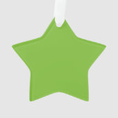 Groen "Catto" Star Ornament (achterkant)