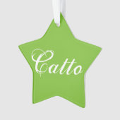Groen "Catto" Star Ornament (voorkant)