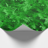 Groen cedar-omslagpapier cadeaupapier (Hoek)