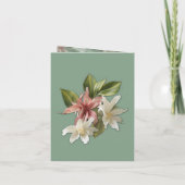 Groen, Crème, Zijden Drapes & Rozeachtige Bloemen (Achterkant)