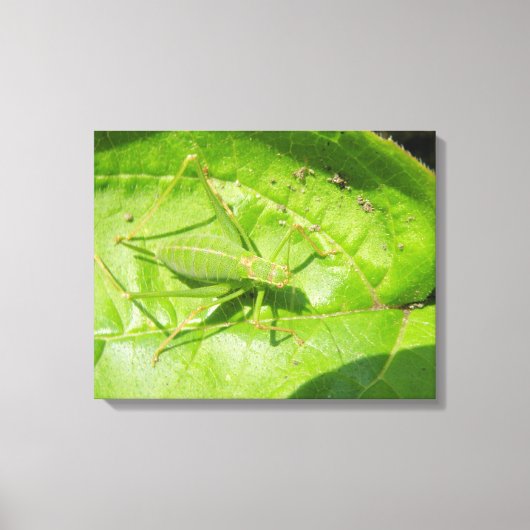 Groen cricket Camouflage Canvas afdrukken (Voorkant)