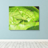 Groen cricket Camouflage Canvas afdrukken (Insitu (Houten vloer))