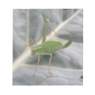Groen cricket macronotebook notitieblok
