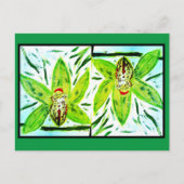 Groen Cymbidium Orchids Briefkaart (Voorkant)