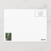 Groen! De toekomstige bloei Briefkaart (Achterkant)