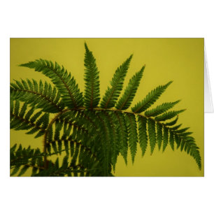 "groen" door Larry Coressel