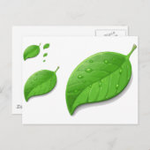 Groen doorbladert briefkaart (Voorkant / Achterkant)