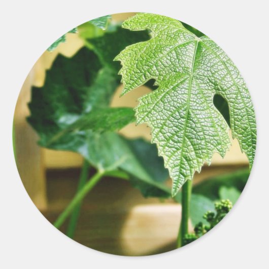 Groen druivenblad ronde sticker (Voorkant)