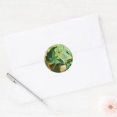 Groen druivenblad ronde sticker (Envelop)