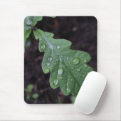 Groen eikenblad in de regen muismat (Met muis)