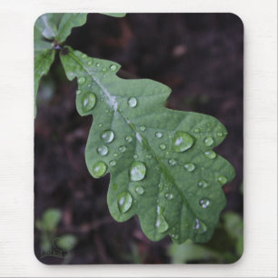 Groen eikenblad in de regen muismat