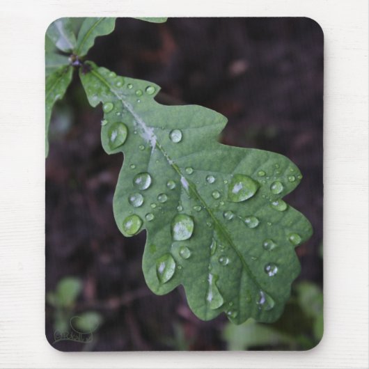 Groen eikenblad in de regen muismat (Voorkant)
