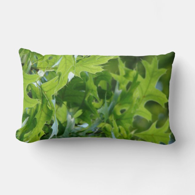 Groen eikenbos laat lumbaal Sierkussen Kussen (Voorkant)