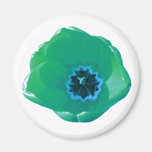 Groen en blauw Tulip Magnet (Voorkant)