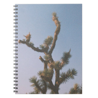 GROEN EN BROEIEN ONDER BLUE SKY NOTITIEBOEK