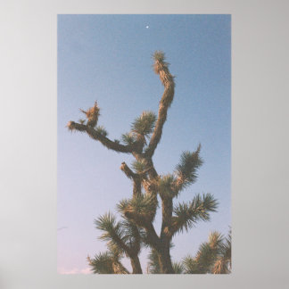 GROEN EN BROEIEN ONDER BLUE SKY POSTER