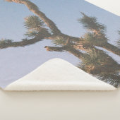 GROEN EN BROEIEN ONDER BLUE SKY SHERPA DEKEN (3/4)