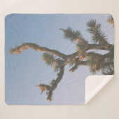 GROEN EN BROEIEN ONDER BLUE SKY SHERPA DEKEN (Voorkant (horizontaal))