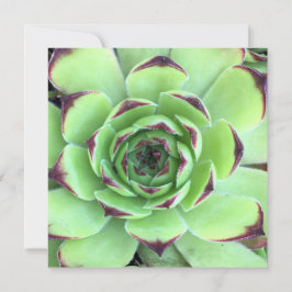 Groen en donker Paars Succulent Photo Wedding Kaart