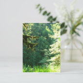 Groen en Lush Briefkaart (Staand voorkant)