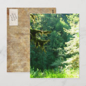 Groen en Lush Briefkaart (Voorkant / Achterkant)