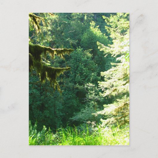 Groen en Lush Briefkaart (Voorkant)