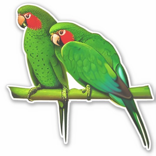 Groen en rode papegaai sticker (Voorkant)