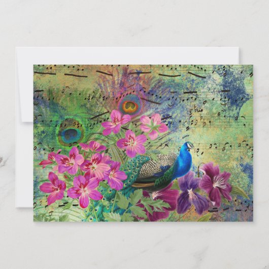  Groen en Roze Peacock Birthday Dank u Bedankkaart (Achterkant)