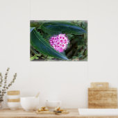 groen en roze poster (Keuken)