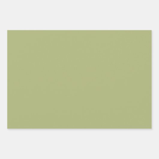 Groen en Roze Schattige Bird Baby ShowerWrapping P Inpakpapier Vel (Voorkant 2)