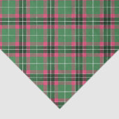 Groen en Roze Tartan Tissuepapier (Detail)