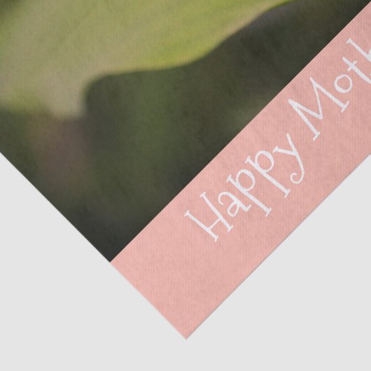 Groen en Roze Tissuepapier (Detail)