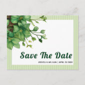Groen en strepen lente bruiloft Save the Date Briefkaart (Voorkant)