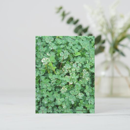 Groen en wit Shamrock Briefkaart (Staand voorkant)