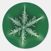 Groen en wit Snowflake Sticker (Voorkant)