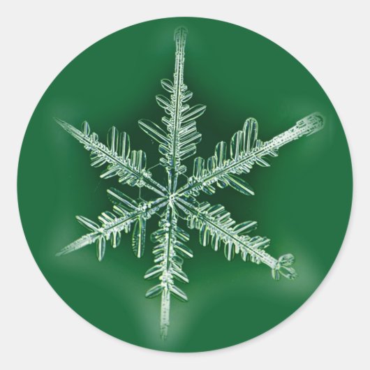 Groen en wit Snowflake Sticker (Voorkant)