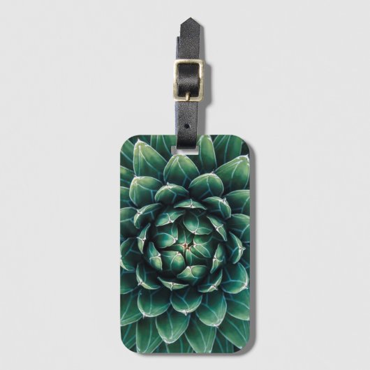 Groen en wit Succulent Bagagelabel (Voorkant (verticaal))
