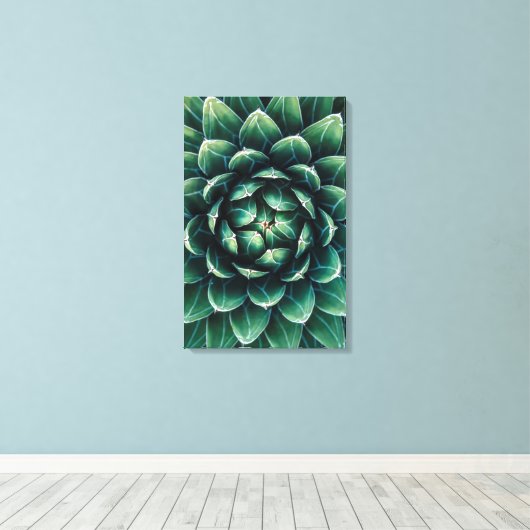 Groen en wit Succulent Canvas Afdruk (Insitu (Houten vloer))