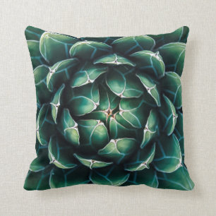 Groen en wit Succulent Kussen